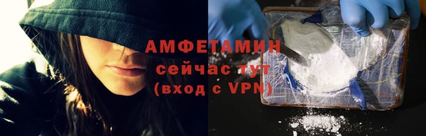 дживик Пересвет